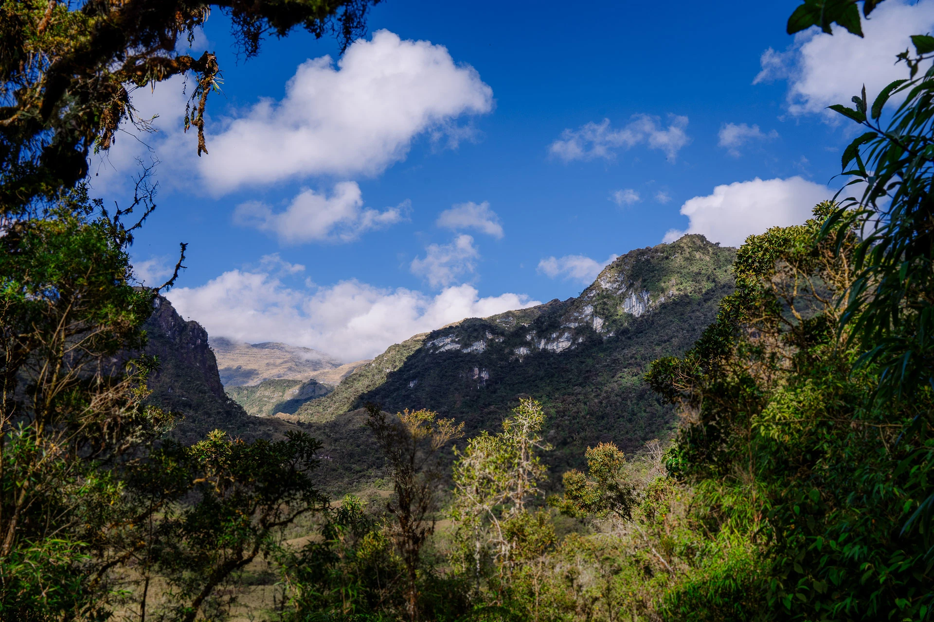 Fotografía real de Laguna de los Cóndores