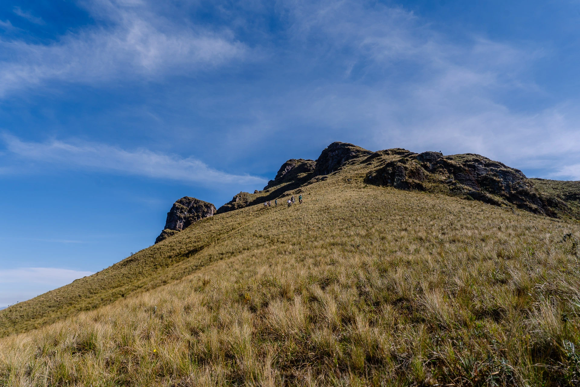 Fotografía real de Montaña Shubet