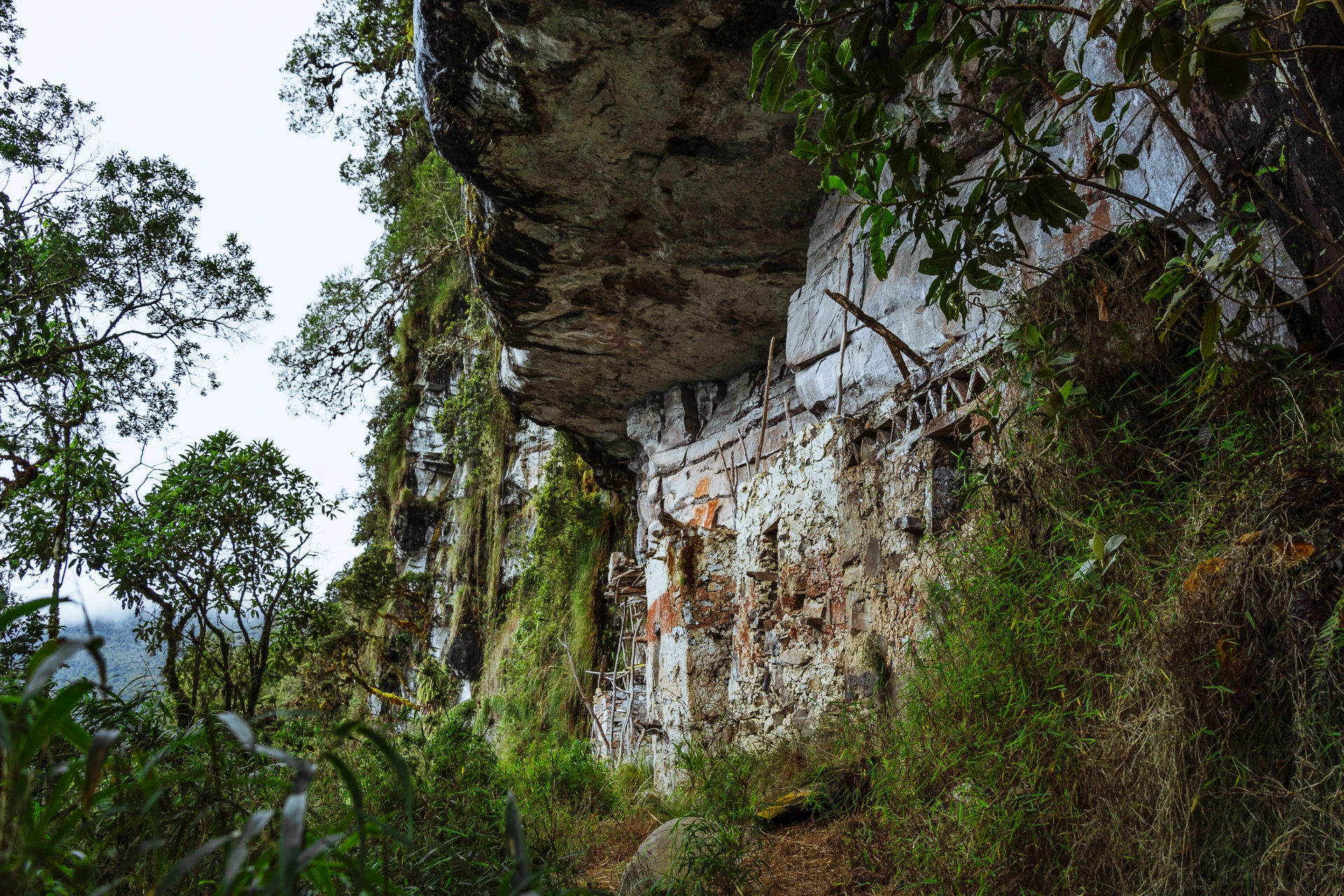 Expediciones en los senderos de Amazonas